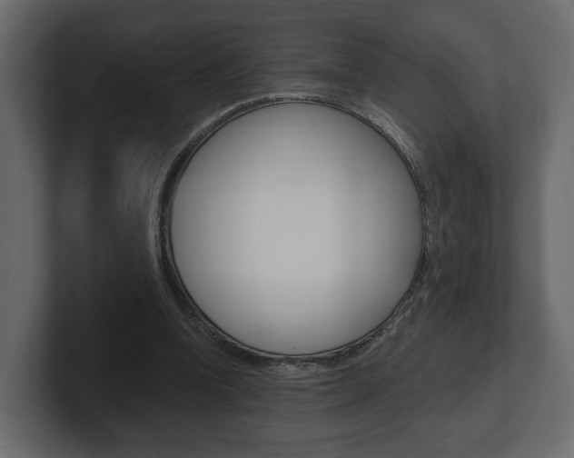 X0000101180346200806270831