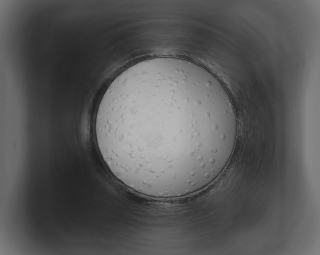 X0000101180347200806270831