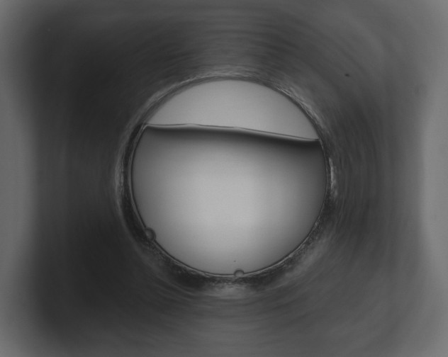 X0000101180348200806270831