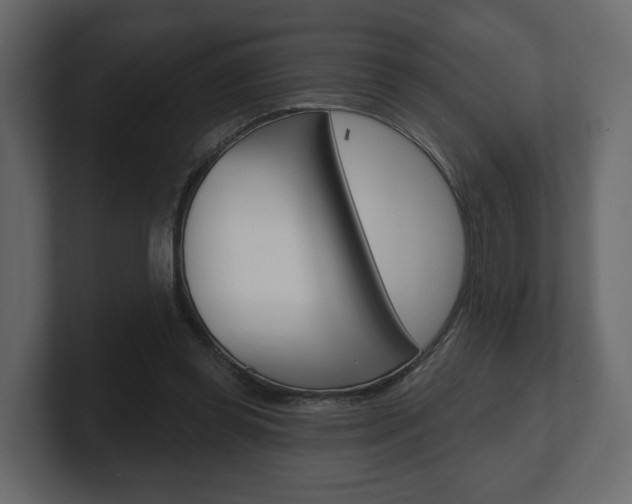 X0000101180349200806270831