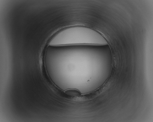 X0000101180350200806270831