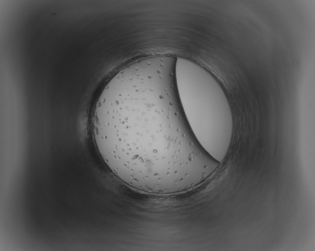 X0000101180351200806270831