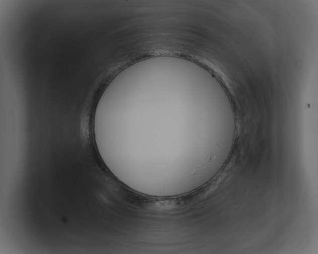 X0000101180353200806270831