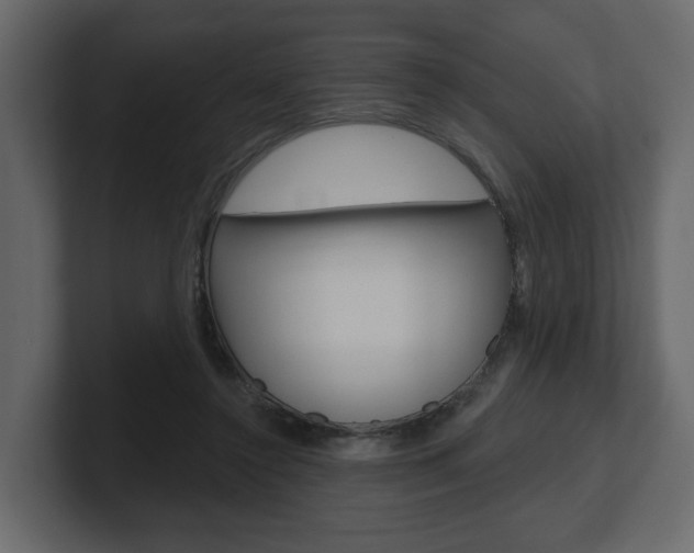 X0000101180356200806270831