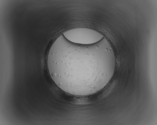 X0000101180359200806270831