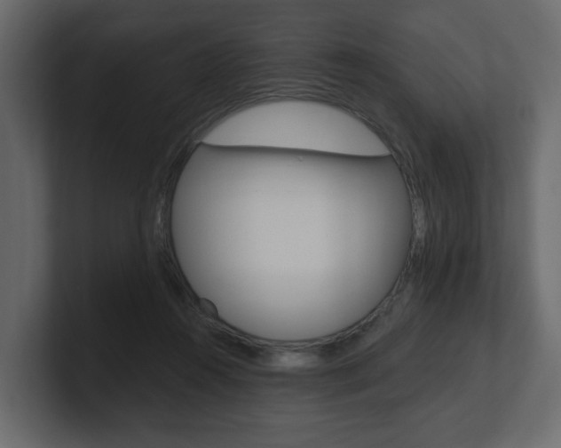 X0000101180360200806270831