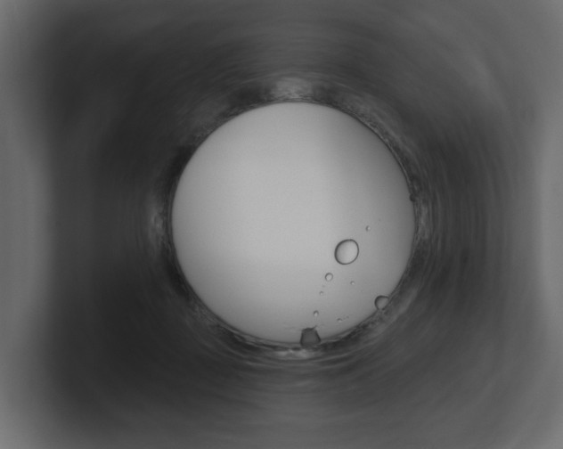 X0000101180363200806270831