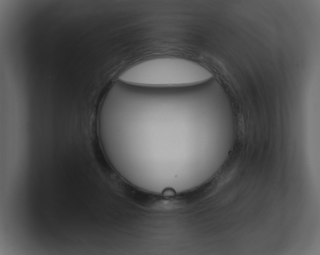 X0000101180364200806270831