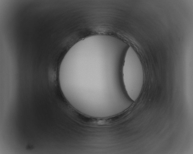 X0000101180365200806270831