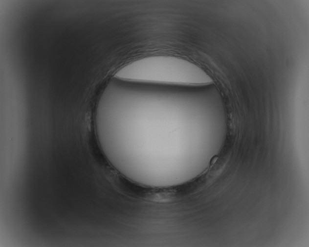 X0000101180368200806270831