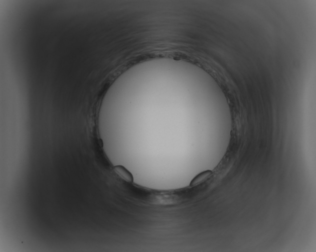 X0000101180372200806270831