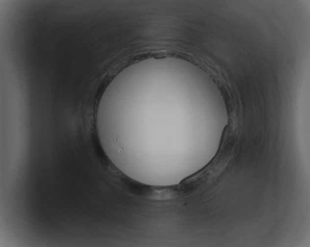 X0000101180376200806270831