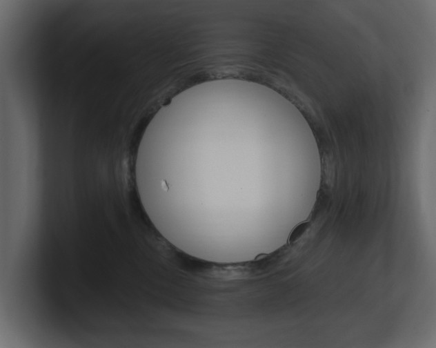 X0000101180378200806270831