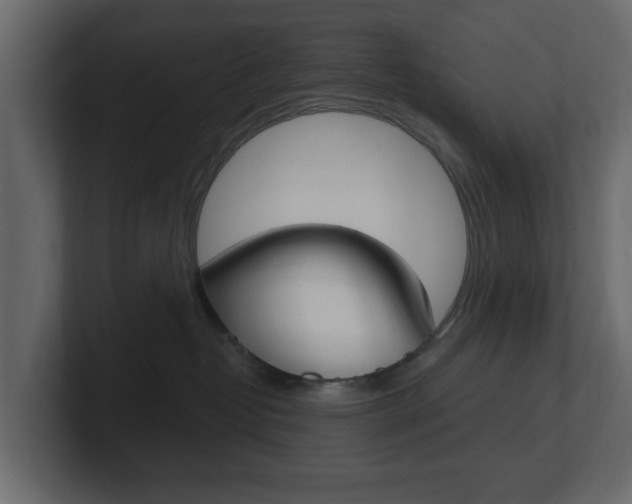 X0000101180382200806270832