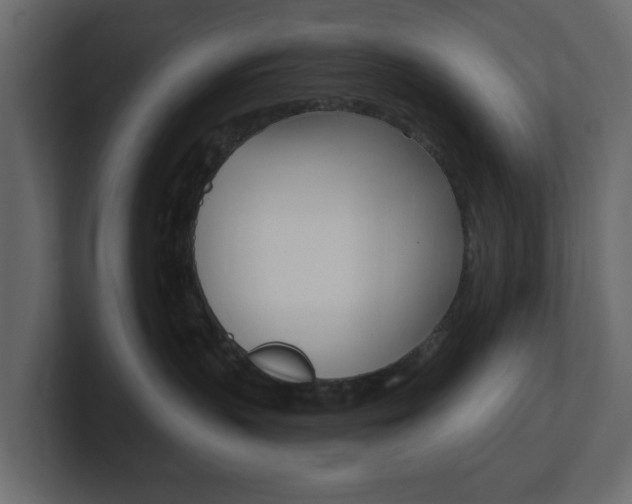 X0000101180383200806270832