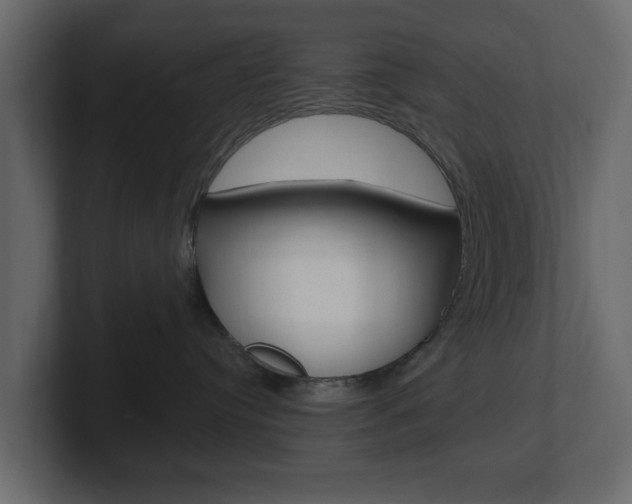 X0000101180384200806270832