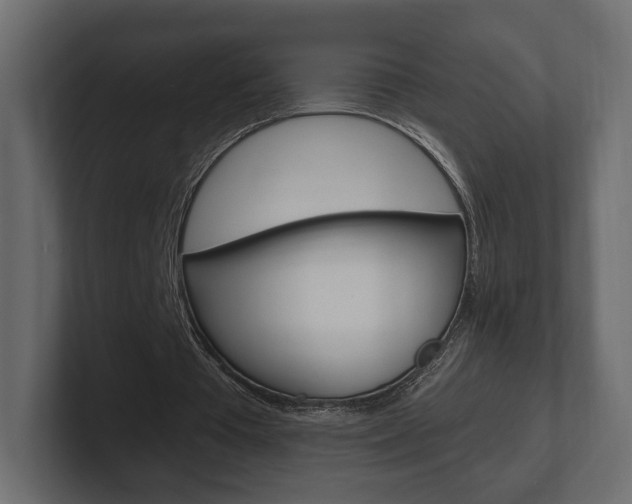 X0000101180385200806270831