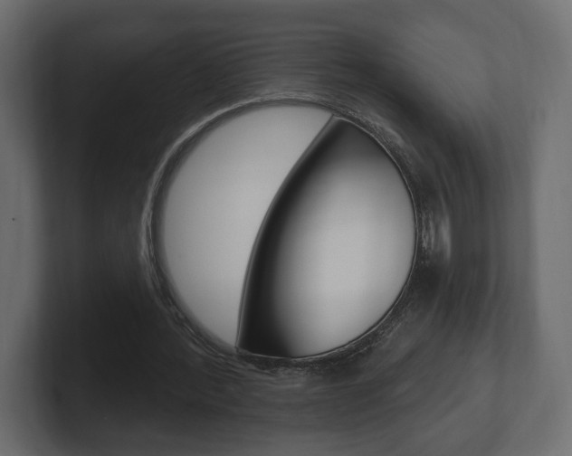 X0000101180388200806270831
