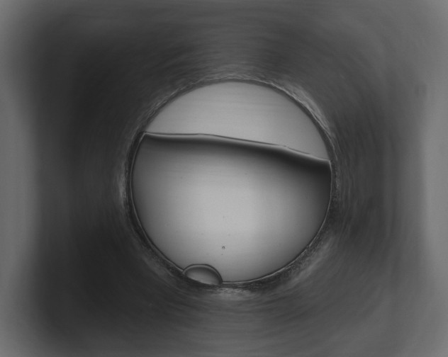 X0000101180393200806270831