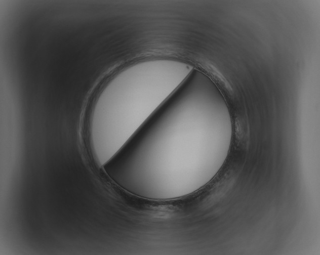 X0000101180396200806270831