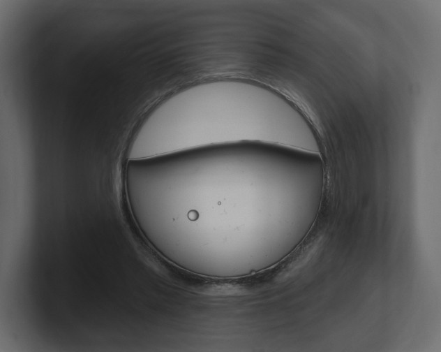X0000101180397200806270831