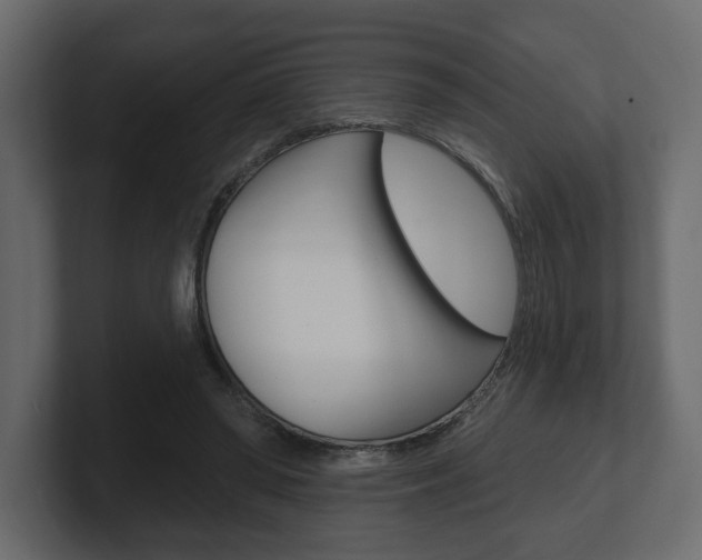 X0000101180398200806270831