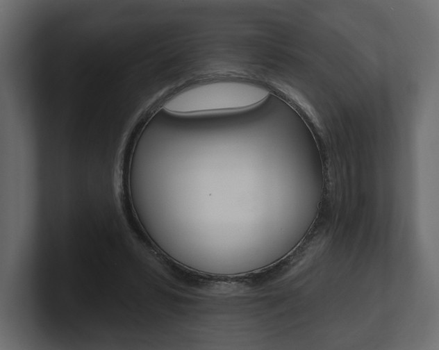 X0000101180399200806270831