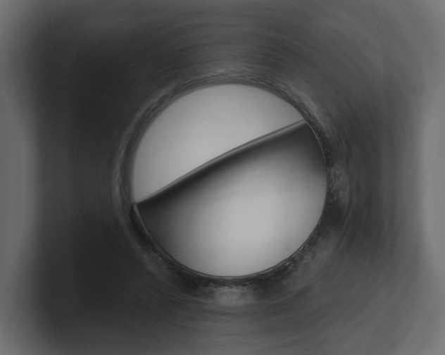 X0000101180400200806270831