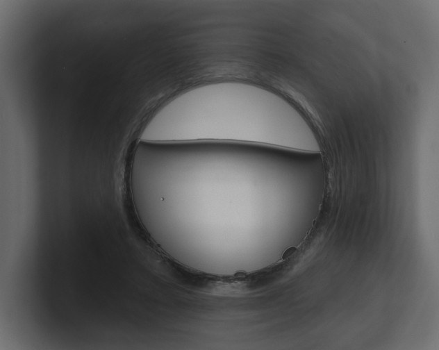 X0000101180403200806270831