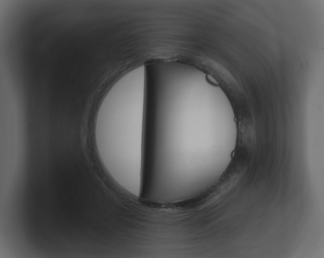 X0000101180404200806270831