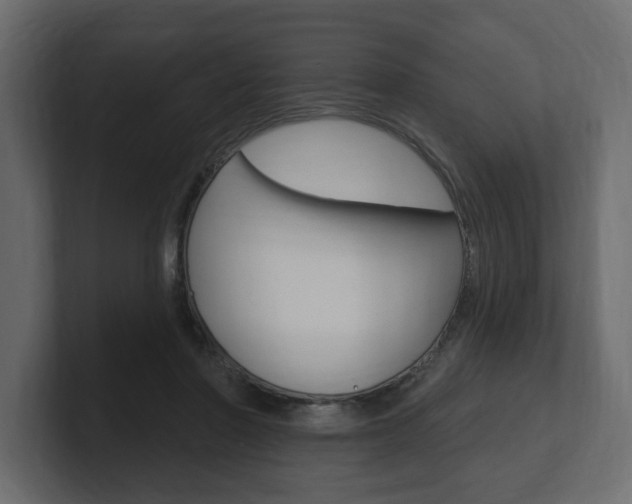 X0000101180406200806270831