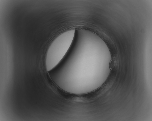 X0000101180408200806270831
