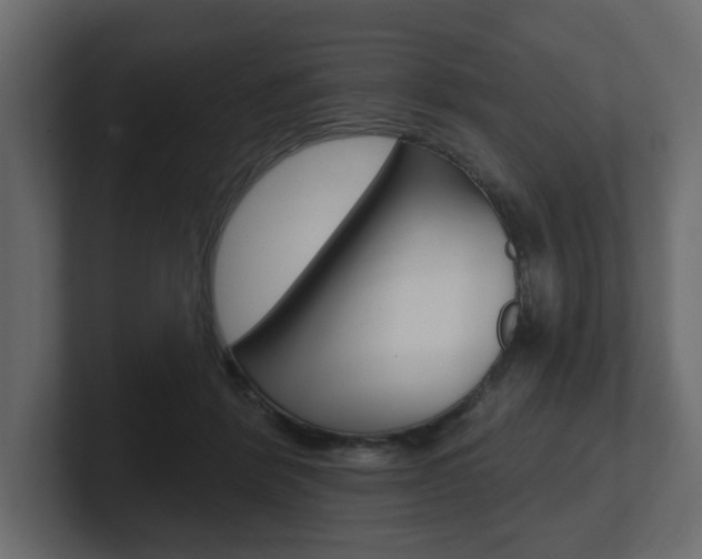 X0000101180412200806270831