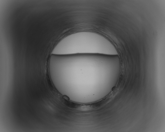 X0000101180413200806270831