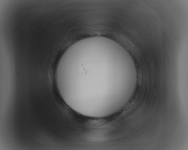X0000101180414200806270831
