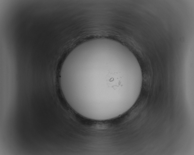 X0000101180416200806270831