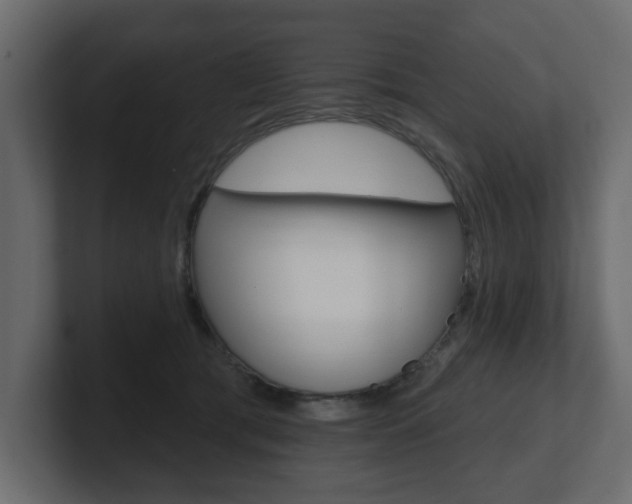 X0000101180417200806270831