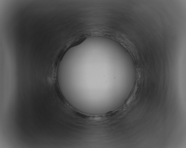 X0000101180419200806270830