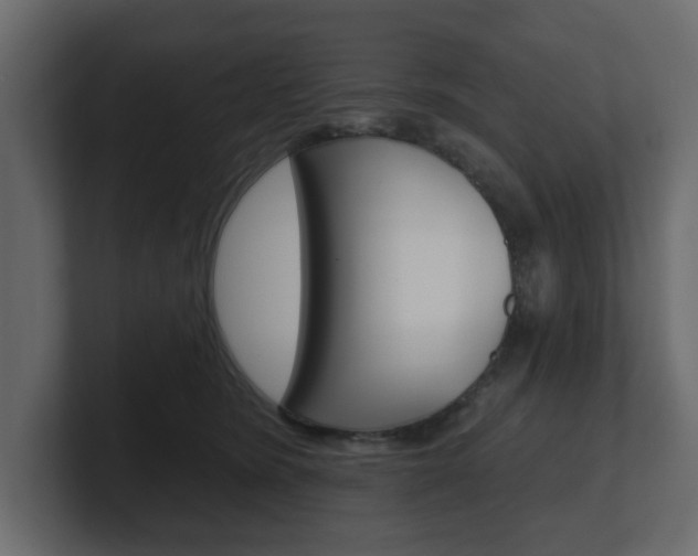 X0000101180420200806270830