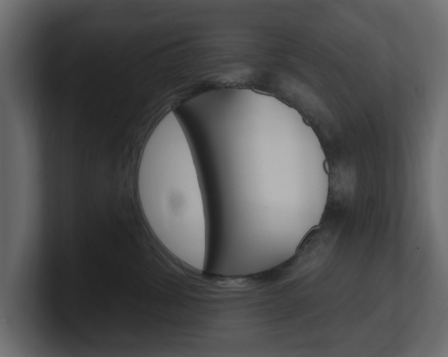 X0000101180428200806270830