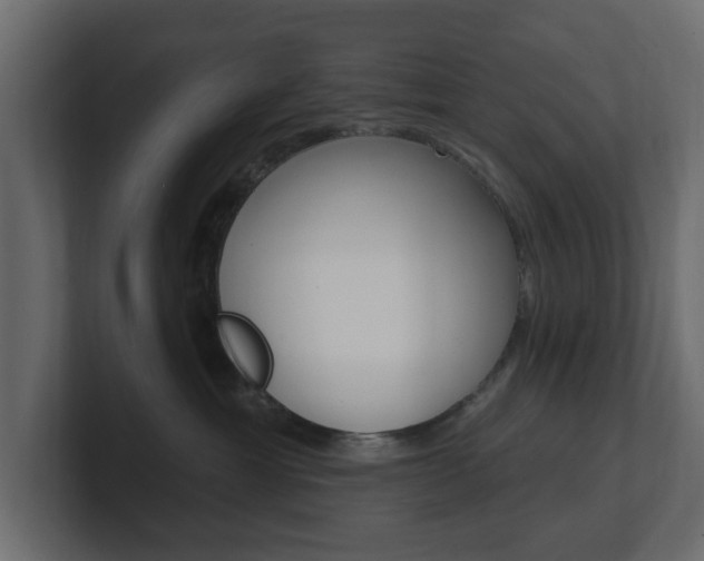 X0000101180429200806270830