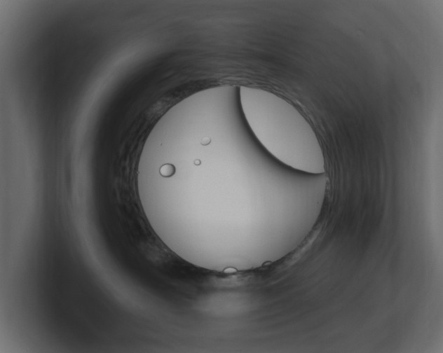 X0000101180430200806270830