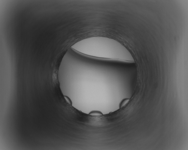 X0000101180432200806270830