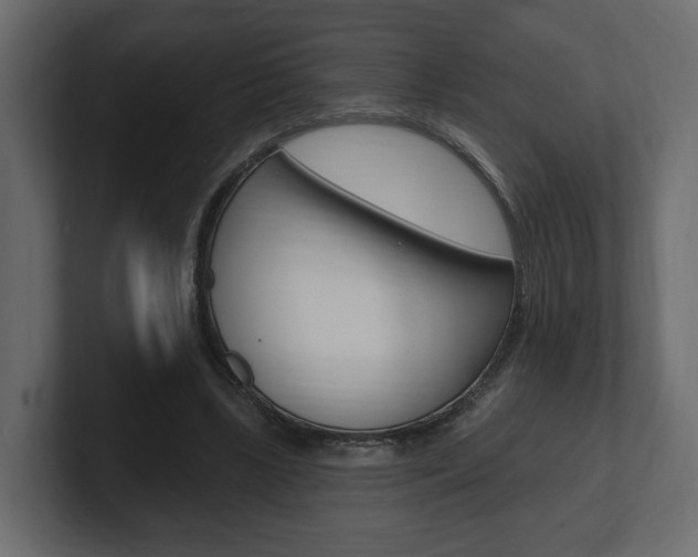 X0000101180443200806270830