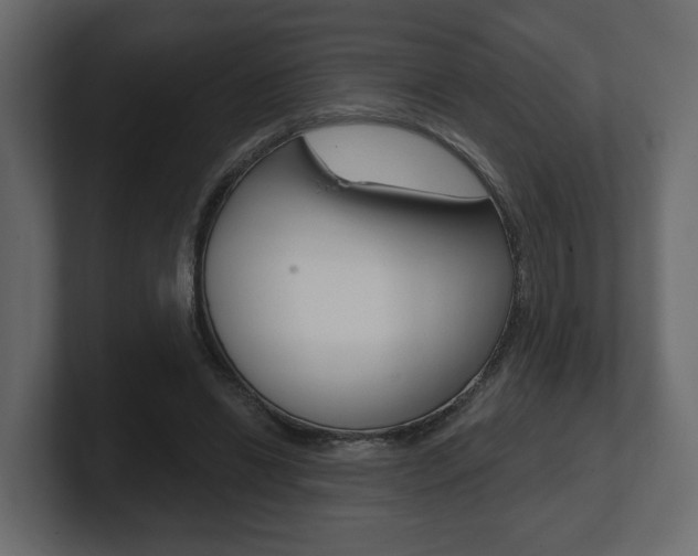 X0000101180446200806270830