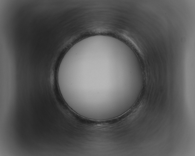 X0000101180447200806270830