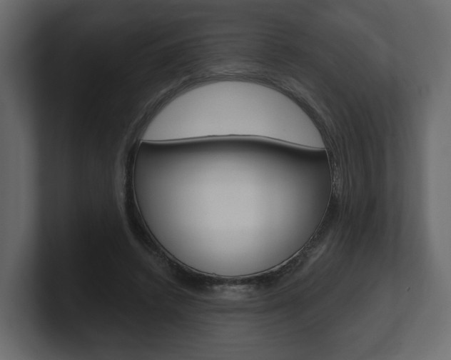 X0000101180448200806270830