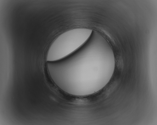 X0000101180455200806270830