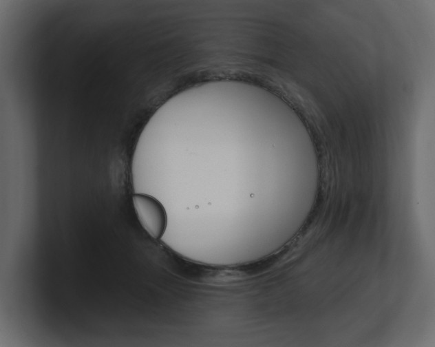 X0000101180463200806270830