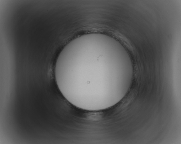 X0000101180465200806270830